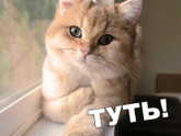 Психология от Белки - ГДЕ СЧАСТЬЕ???