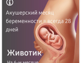 22 недель 5 дней
