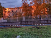 наши красоты