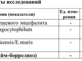Клещ.Анализ