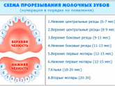 Зубы. Норма?