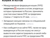 Уже до кошек добрались,