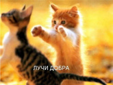 Ощущение полной черной полосы