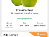Финишная прямая