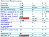 Расшифруйте пожалуйста кровь