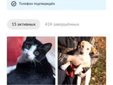 Котёнок Брянск