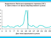 Доброй ночи помогите кто