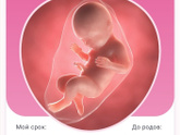 Почувствовала первое шевеление?❤️