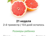 21 неделя.