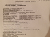 Узи 24 недели, вес плода