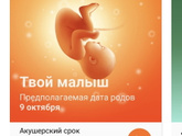 38 недель
