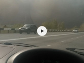 Давно сюда не заходила.