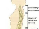 Болит поясничный отдел позвоночника.Девочки
