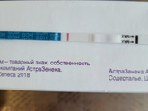 Все эви .