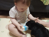Собака в доме 🐕😍