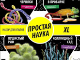 Идеи подарков на нг.