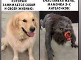 Жиза?