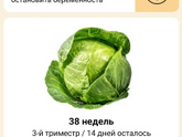 38 недель