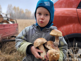Грибы в октябре))