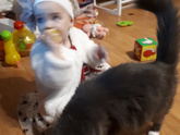 Наша кошка.