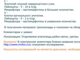Помогите с расшифровкой мазка 🙏🏻