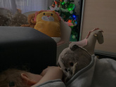 Так уютно и спокойно