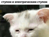 На заметку о руках