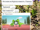 10 недель