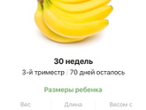 30 недель .