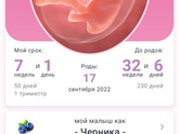 Сегодня уже 7 недель
