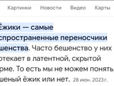 Куда обращаться?