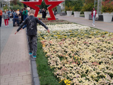 Белгород в цвету