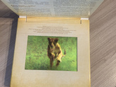 Фотикулярная книга