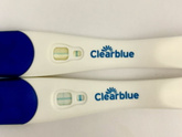 Clearblue Plus Тест на