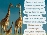 Девочки,Всех с праздником!!!