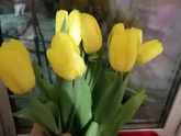Подарки