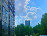 Пойдём гулять в лес