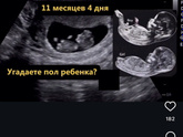 Пол