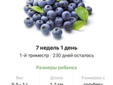7️⃣ недель ?.