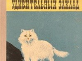 Удивительный заклад