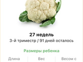 27 недель .