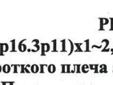 Пгт эмбрионов расшифровка