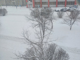 Зимнее