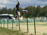 Сегодня ездили на фестиваль