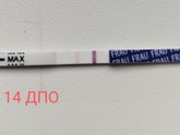 Похоже оно.. Неужели..Очень поздняя овуляция и беременность