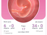 Все приложения почему то