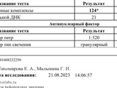Антинуклеарный фактор