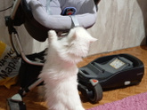 Готовлюсь к появлению моей принцессы 🥰