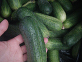 Кто маринует огурцы на