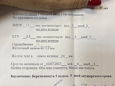 Сходила сегодня на УЗИ